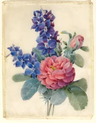 Blumen, Rosen und Rittersporn